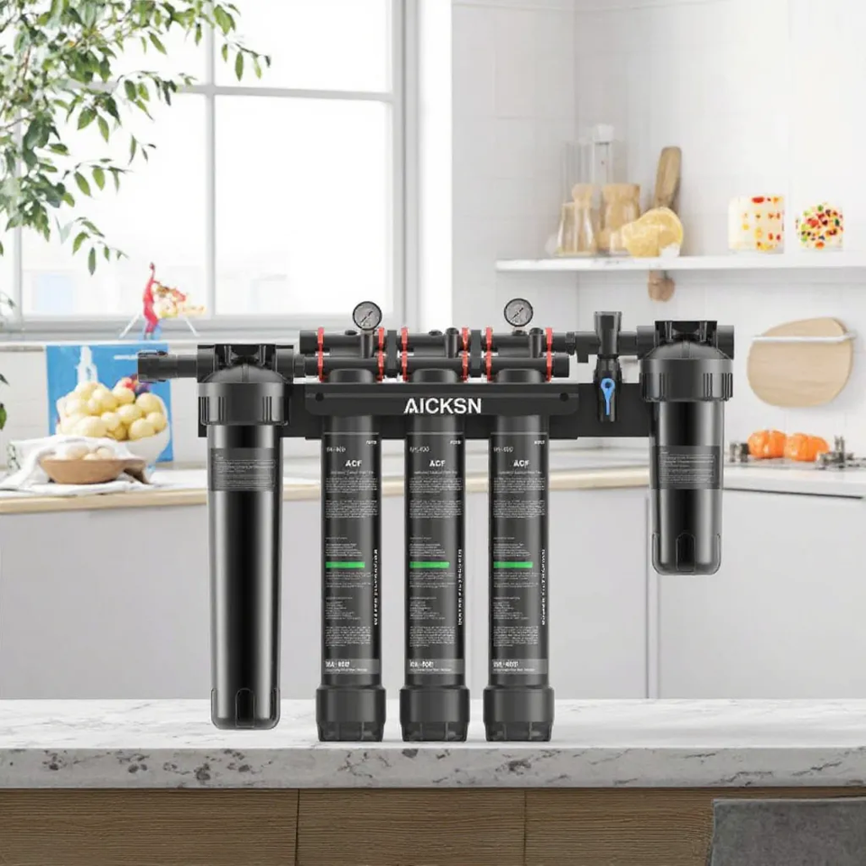 Aicksn 40LPM Large Flow Filtration System Water Treatment Plant Commercial Water Purifier for Business Industrial