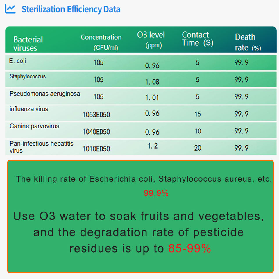 Ozone Disinfection System Commercial Ozone Machine Water Purifier