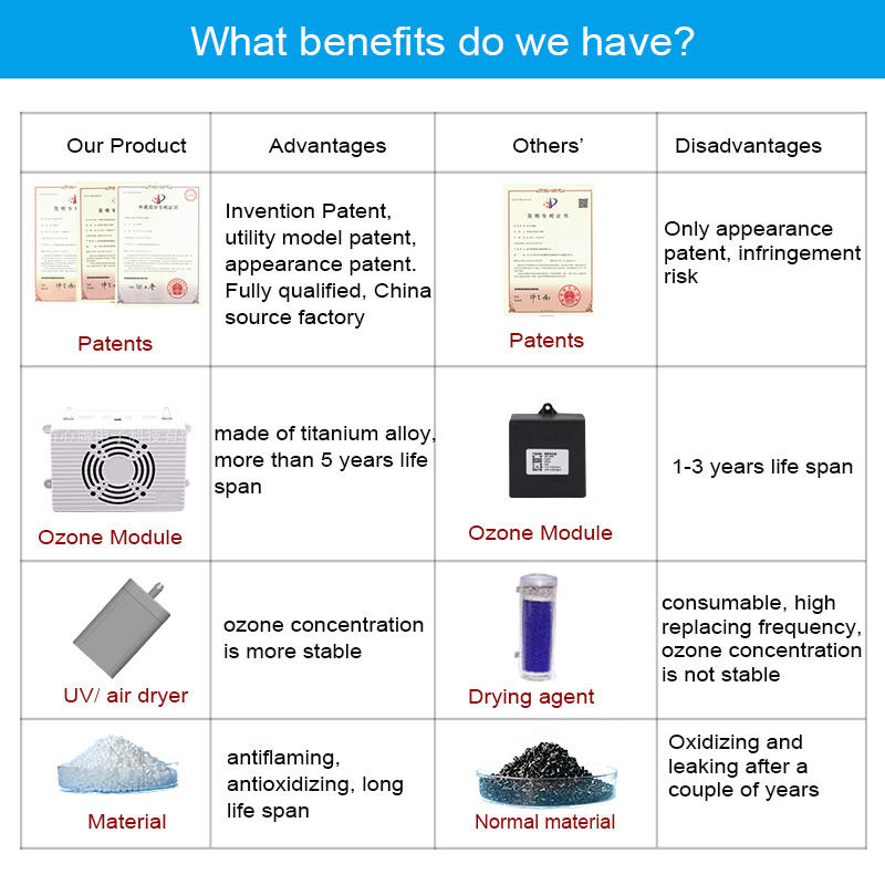 CE Certified Industrial Ozone Generator Water Sterilizer Commercial Ozone Water Purifier for Private Swimming Pool