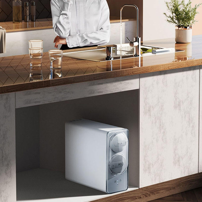 1200G Electric RO Water Purifier for Hotel Use Household Silent Plastic Tap Water Filtration Drinking Double Outlet