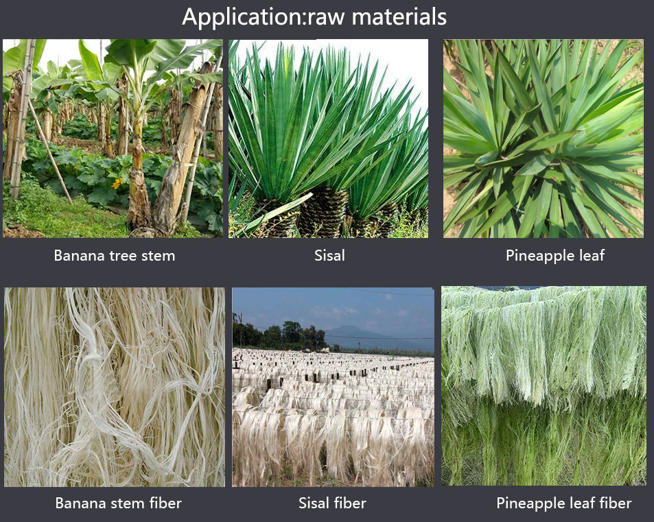 Sisal Fiber Decorticator Machine - Electric/Diesel, Low Noise, 98% Shelling Rate for Hemp & Banana Fiber Extraction