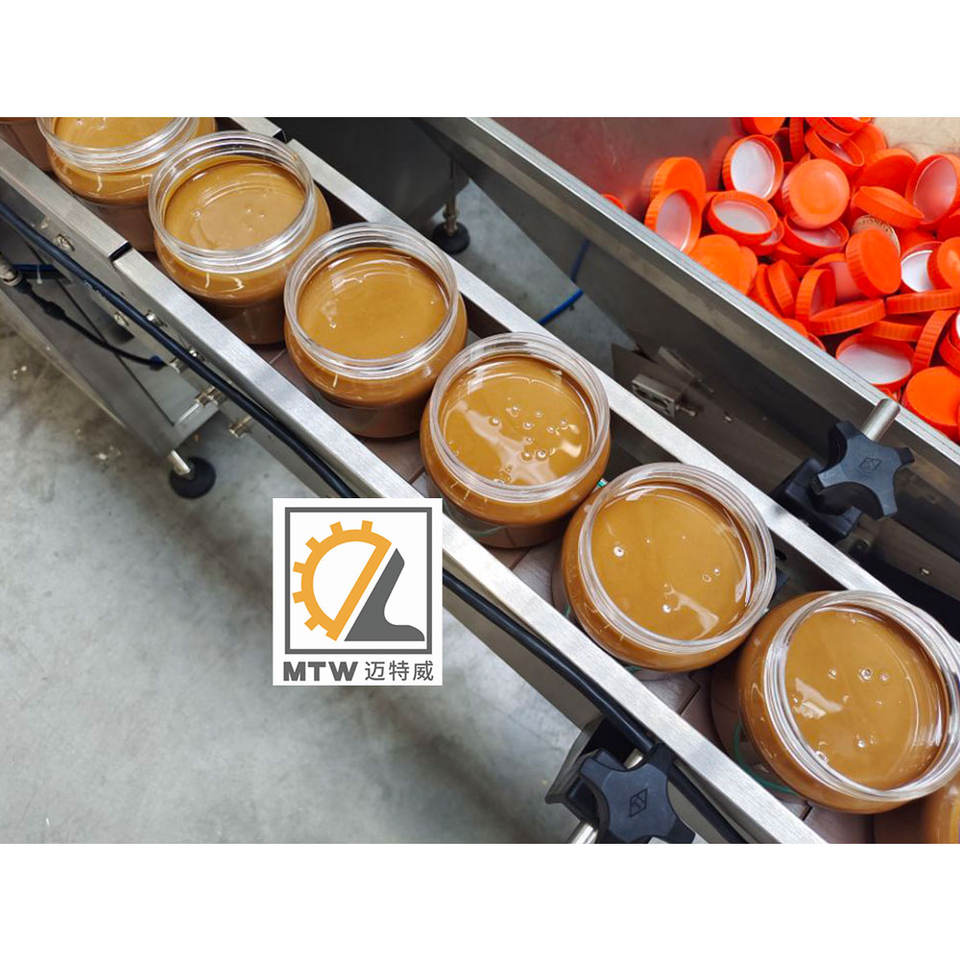 MTW Automatic One Head Sticky Paste Peanut Butter with Granular Rotor Pump Filling Machine