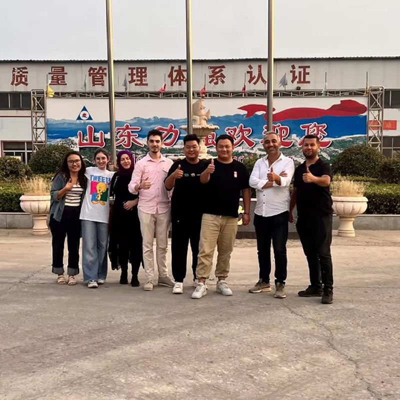 SDLQ LQR154-11m Crawler Square Rod Rotary Drilling Rig Large Caliber Bore Pile Machine Screw Drill Rigscrew Ground Machines