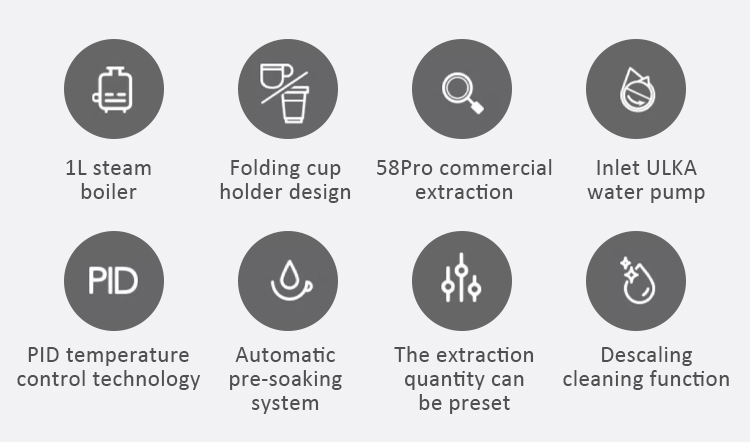 Professional Italian Espresso Coffee Machine with Imported Water Pump