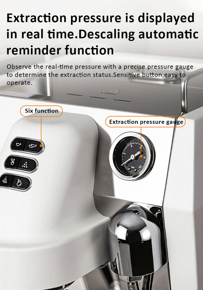 Professional Italian Espresso Coffee Machine with Imported Water Pump