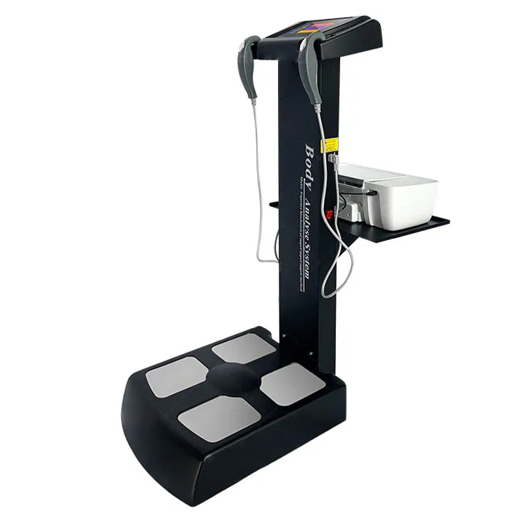 4d  Whole Body Vertical Vibration Plate Exercise Machine